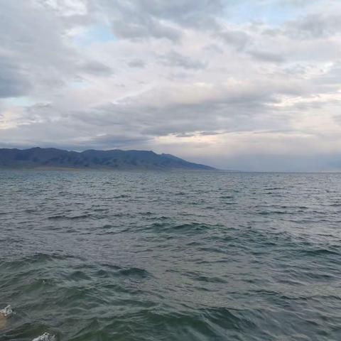 郑掷 // 净海赛里木