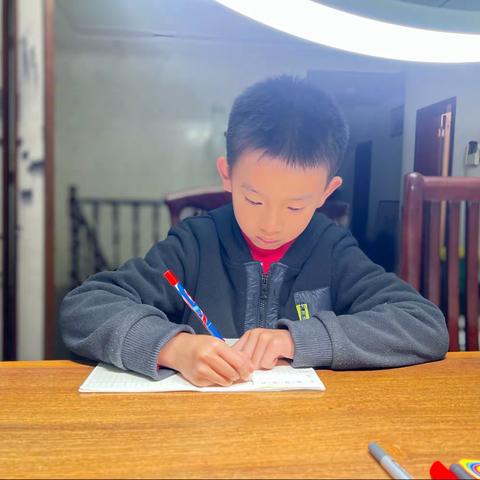 袁诗博第十四、第十五周成长记录📝