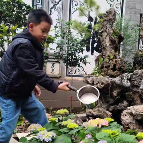 袁诗博第十周成长记录“悦劳动、悦快乐”📝