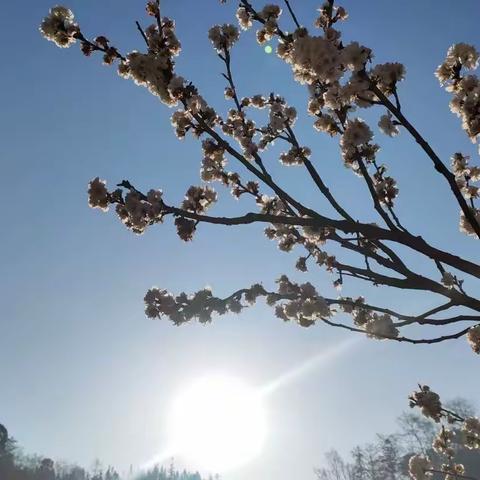 「马关4.08疫情」一路走来，一起向阳，共同向未来！