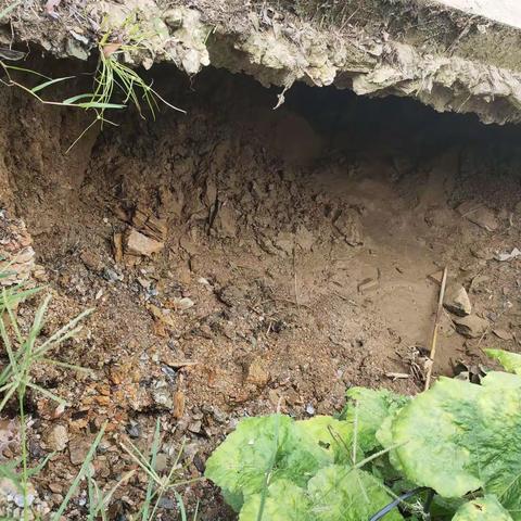 【学党史  办实事】马关县财政局党史学习教育走深走实，“抚平”挂钩点群众“心坑”