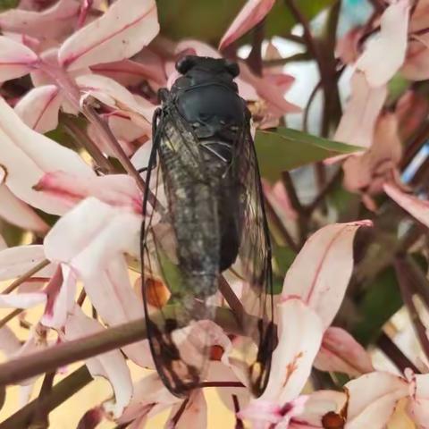 不是手艺人的守边人，只是爱“折腾”自己罢了。