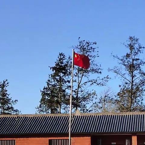 去年夏天，今年四月，等到疫情过后……