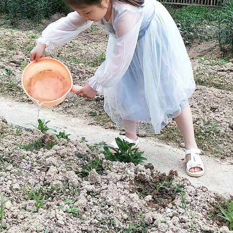 最美劳动者