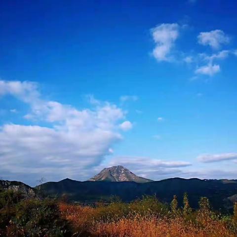 唐太宗昭陵碑《乙速孤神庆碑并碑额》民国旧拓