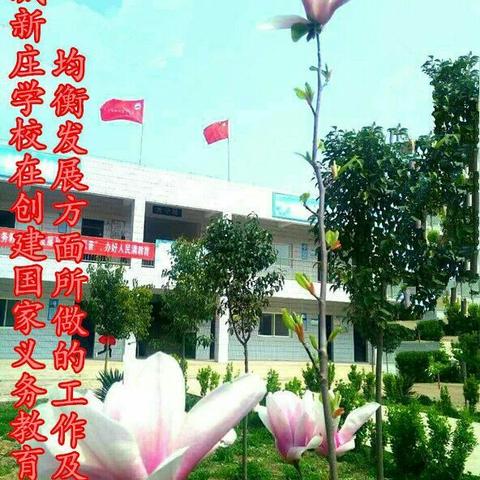 周城新庄学校乘义务教育均衡发展之东风，内强素质，外树形象