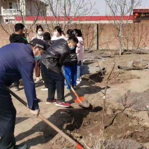 低碳生活从植树开始—陈王庄小学植树活动