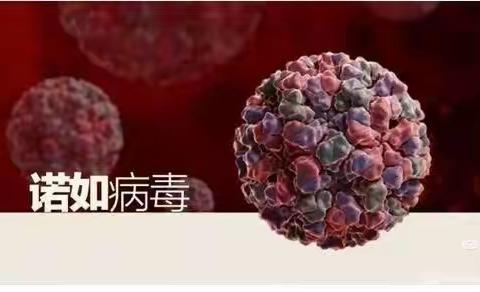 诺如病毒知识宣传