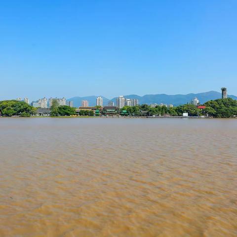 瞿溪中学七八届高二（四）班同学相聚在江心屿