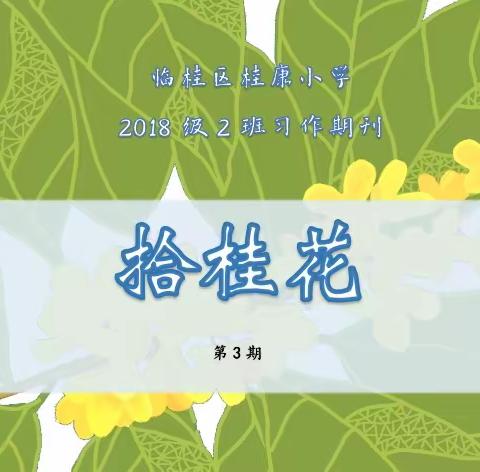 临桂区桂康小学2018级2班习作期刊