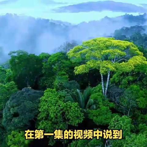 哪种风水格局改运最快
