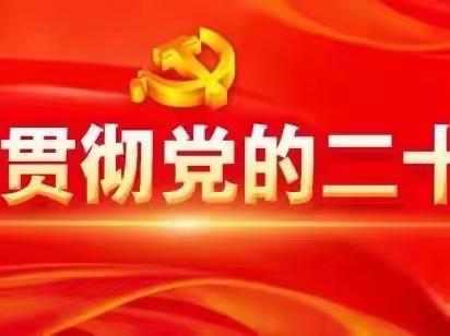 灵宝市应急管理局召开学习贯彻党的二十大精神宣讲会