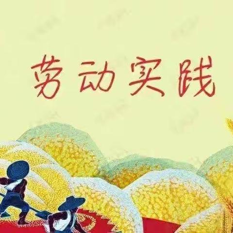 燕塔中心小学综合实践活动主题——七彩童心，巧手装点