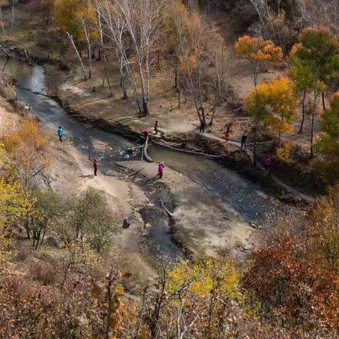 坝上草原秋意浓
