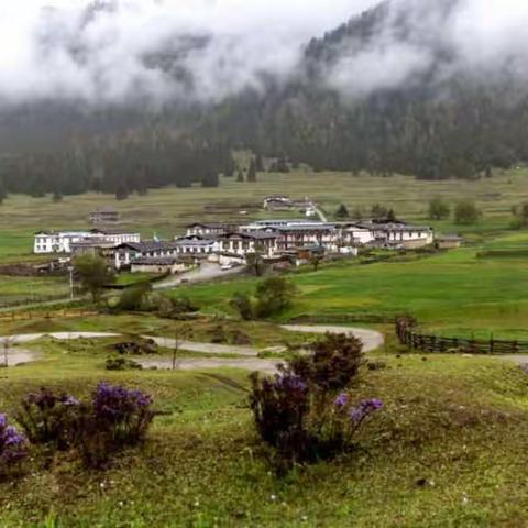 西藏的江南风光