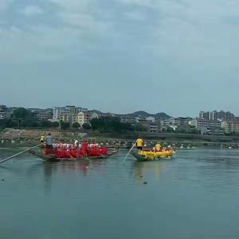 龙舟下河喜洋洋