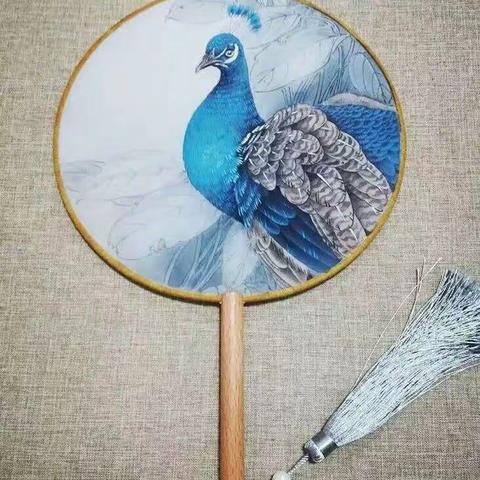 孔雀小团扇工笔绘制步骤（线稿存百度）