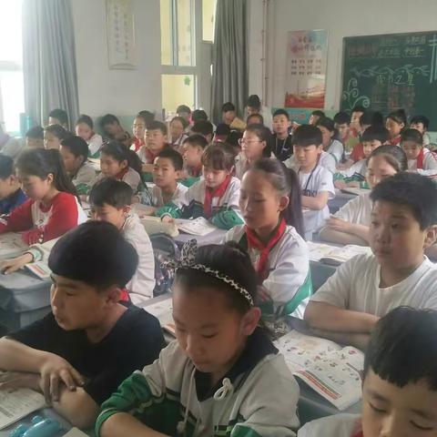 西街小学五年级英语，引领英语学习新课堂