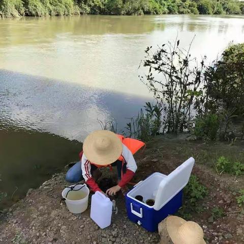 美兰区生态环保局开展第二季度县域功能区环境质量考核监测现场采样工作