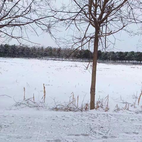 清扫积雪暖人心  建行服务有真情——长葛八七路支行