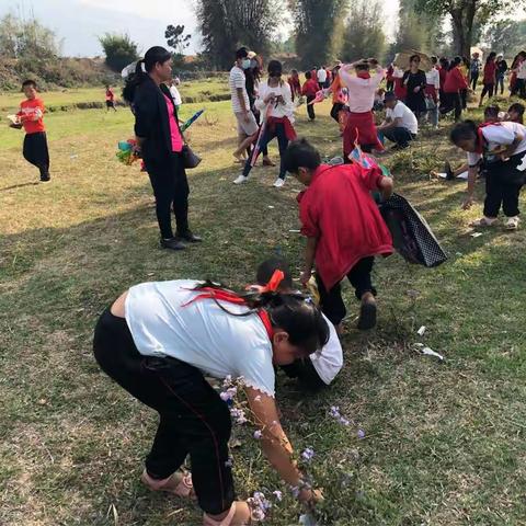 “保护环境，你我同行”盈江县弄璋中心小学2018年学雷锋环保志愿活动