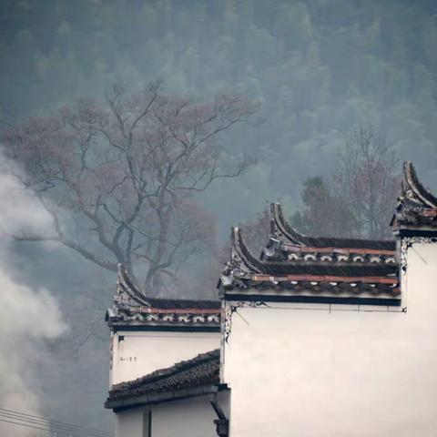 美妙的旅行