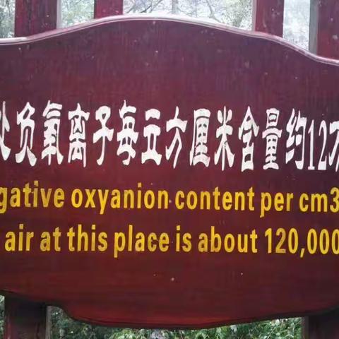 巴黎是我的中途島（三）暢遊