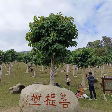 旅游经历加攻略 （亲身经历，可参考 ）