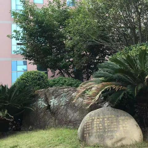 参观名校拓视野                       他山之石促发展