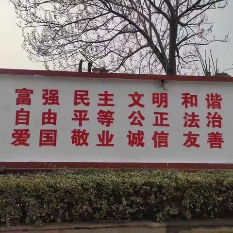 借省评东风，展我校风采