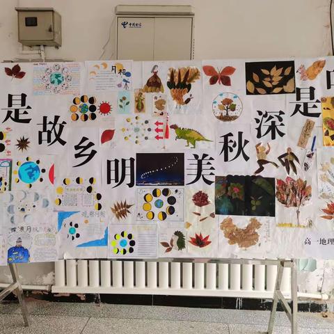 月是故乡明，叶是深秋美——高一地理组宣