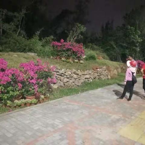 龙昆南延长线环境整治