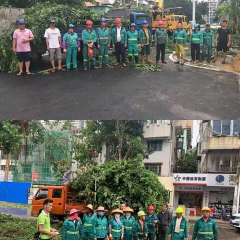 龙华区园林局及时响应 及时处置 确保道路交通安全畅行