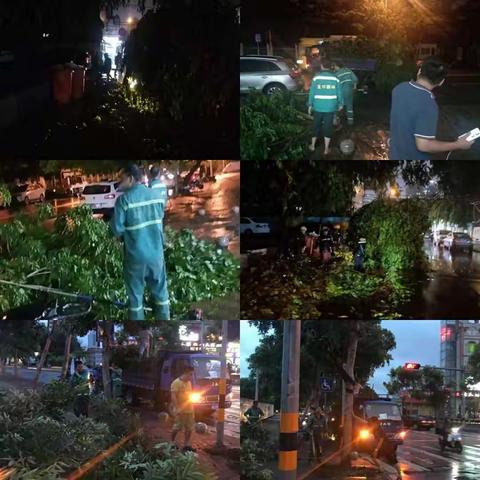 龙华区园林局坚持夜雨中继续清障
