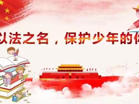 与法同行  健康成长——南阳市第四小学持续推进法治教育活动走深走实