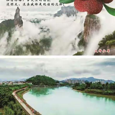 仙居杨梅，且吃且珍惜