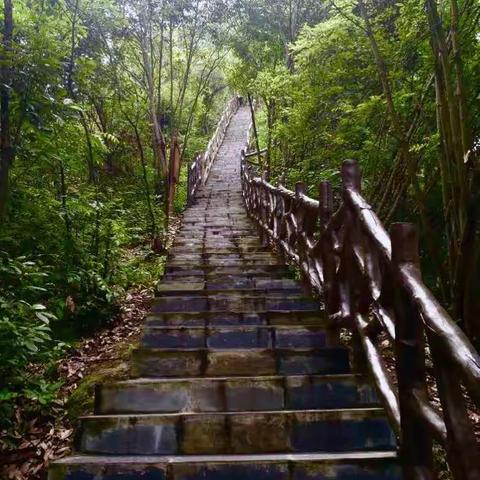 警 营＂晒诗会＂（八）一一山径                       2017．6．5