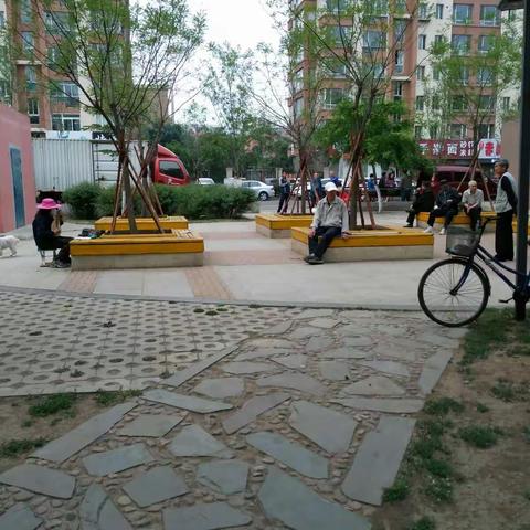 随拍拾趣