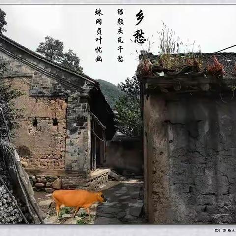 “传承文化，留住乡愁”﻿——走进“武家庄文史馆”