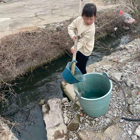 外婆的菜园子—寒假实践活动