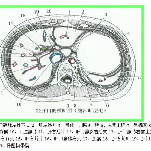 断层2