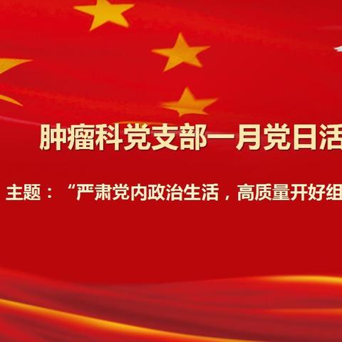 严肃党内政治生活，不做佛系党员。