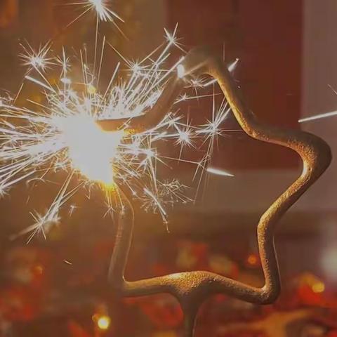 273——缤纷寒假，“兔”飞猛进！