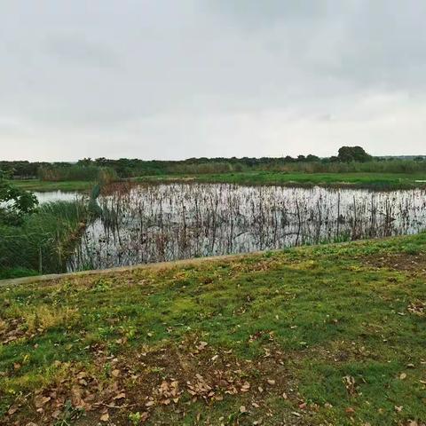 东山滨湖大道