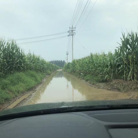 温暖上门行，雨寒情更切——滨州西王支行上门服务