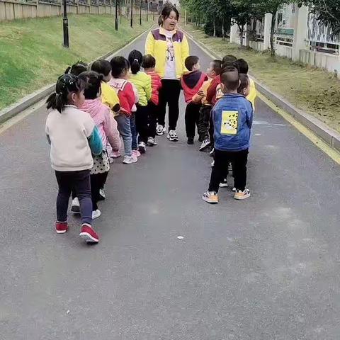 秋天的树叶，我们把它变成了美美的画。