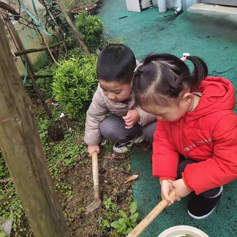 三月十二真奇妙高高兴兴去种树。种下绿色小树苗。小树苗快快长快要沙漠变绿洲。大树旁，深呼吸。人人健康身体棒。