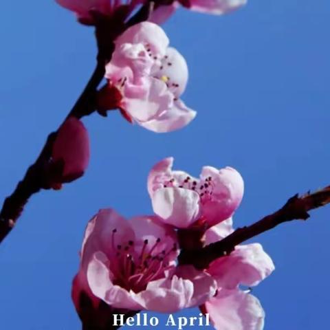 服务不止 关爱延续 —杨广卫生院4月家庭随访