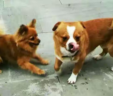 我想有个家（中）