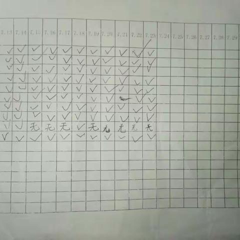 风帆小学三一班赵欣宇暑假计划表